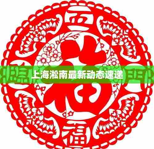 上海淞南最新动态速递