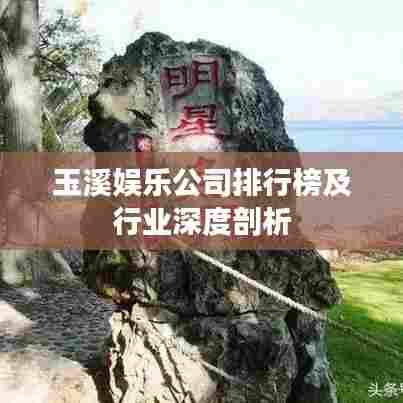 玉溪娱乐公司排行榜及行业深度剖析