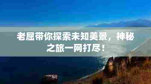 老屈带你探索未知美景，神秘之旅一网打尽！