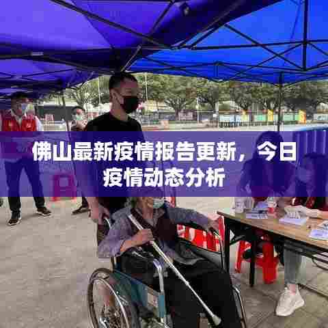 佛山最新疫情报告更新，今日疫情动态分析