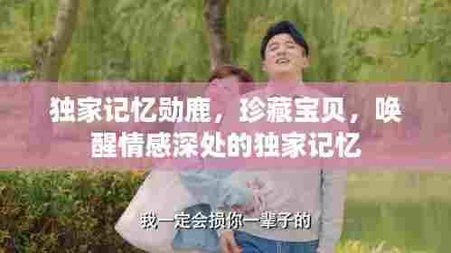 独家记忆勋鹿，珍藏宝贝，唤醒情感深处的独家记忆