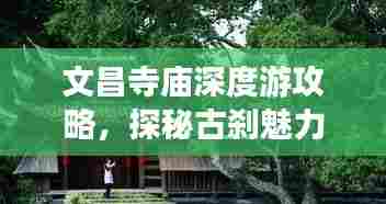 文昌寺庙深度游攻略，探秘古刹魅力，体验文化之旅！