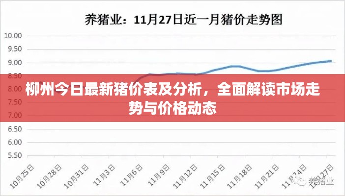 柳州今日最新猪价表及分析，全面解读市场走势与价格动态