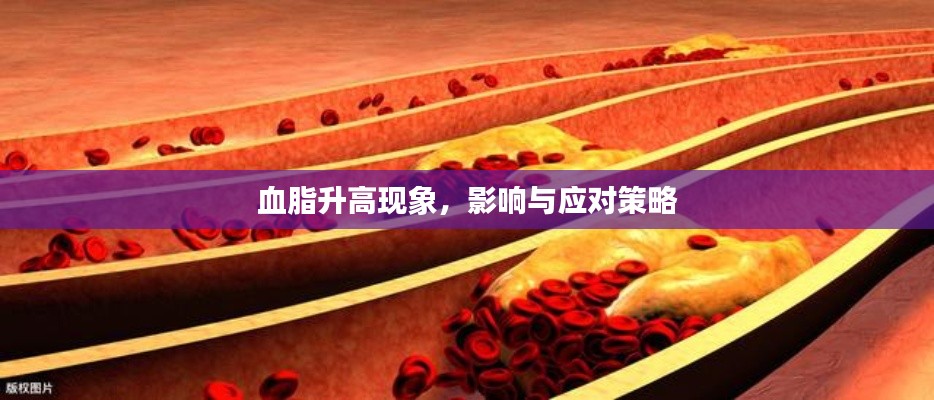 血脂升高现象，影响与应对策略