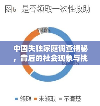 中国失独家庭调查揭秘，背后的社会现象与挑战全解析