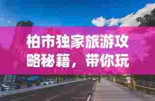 柏市独家旅游攻略秘籍，带你玩转这座魅力之都！