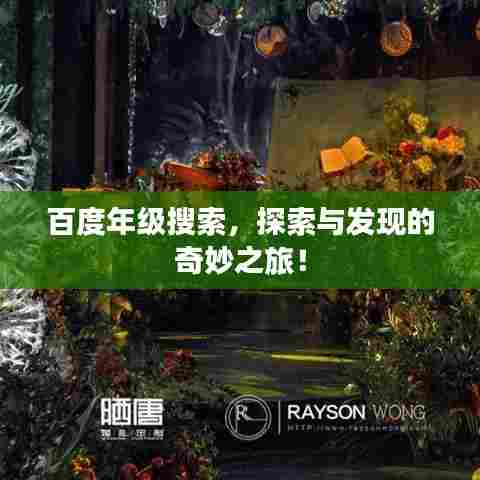 百度年级搜索，探索与发现的奇妙之旅！