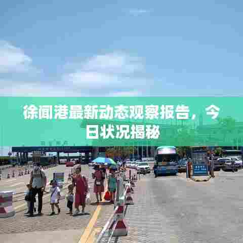徐闻港最新动态观察报告，今日状况揭秘
