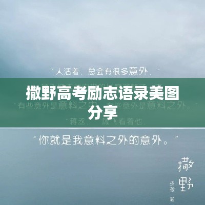 撒野高考励志语录美图分享