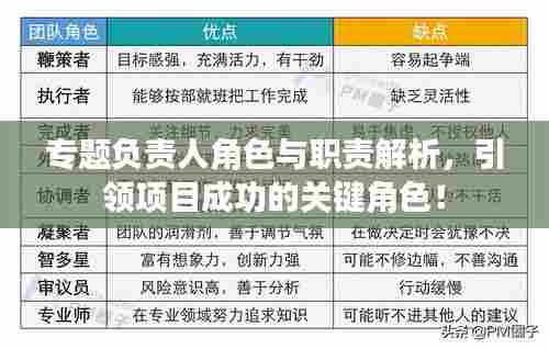 专题负责人角色与职责解析，引领项目成功的关键角色！