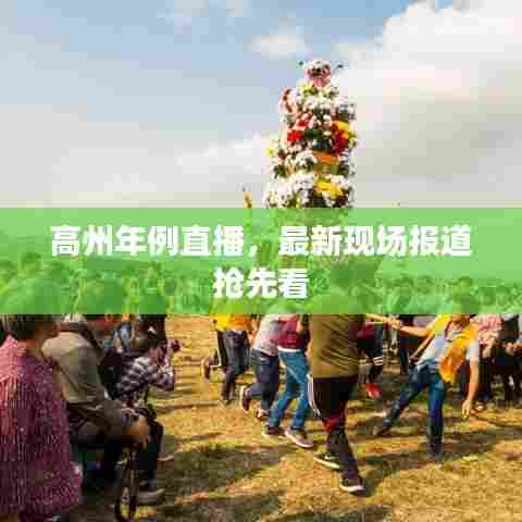 高州年例直播，最新现场报道抢先看
