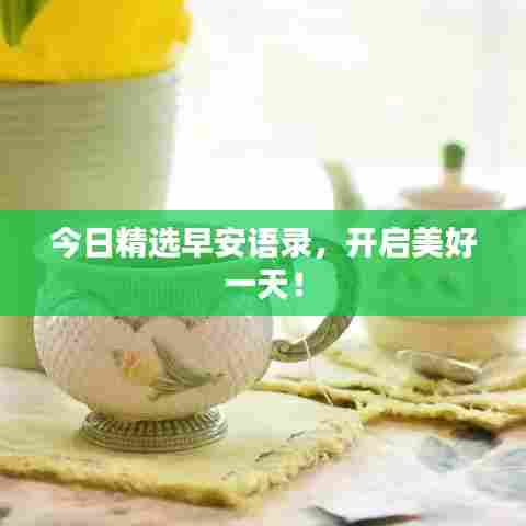 今日精选早安语录，开启美好一天！