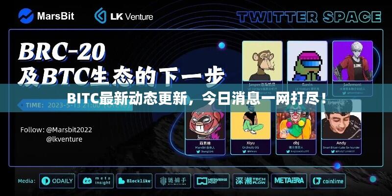 BITC最新动态更新，今日消息一网打尽！