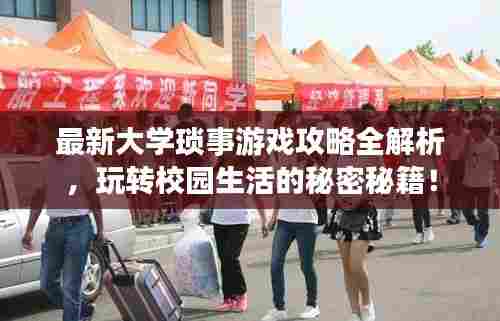 最新大学琐事游戏攻略全解析，玩转校园生活的秘密秘籍！