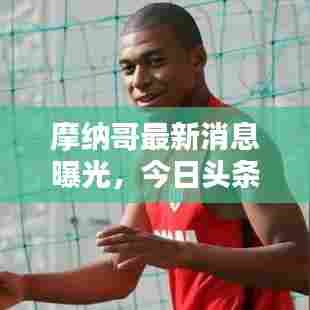 摩纳哥最新消息曝光，今日头条独家报道！