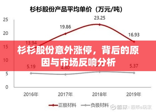 杉杉股份意外涨停，背后的原因与市场反响分析