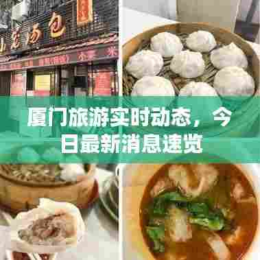 厦门旅游实时动态，今日最新消息速览