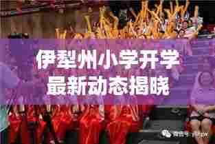 伊犁州小学开学最新动态揭晓