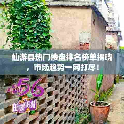 仙游县热门楼盘排名榜单揭晓，市场趋势一网打尽！