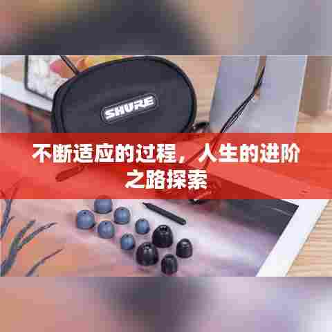 不断适应的过程，人生的进阶之路探索