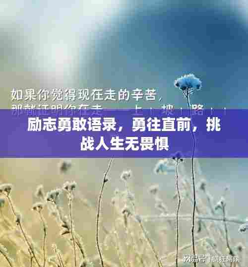 励志勇敢语录，勇往直前，挑战人生无畏惧