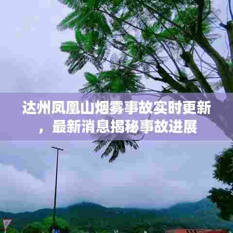达州凤凰山烟雾事故实时更新，最新消息揭秘事故进展