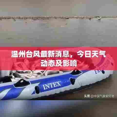 温州台风最新消息，今日天气动态及影响