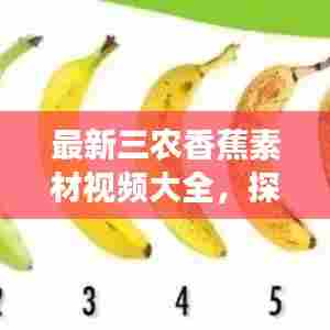 最新三农香蕉素材视频大全，探索与实践之旅