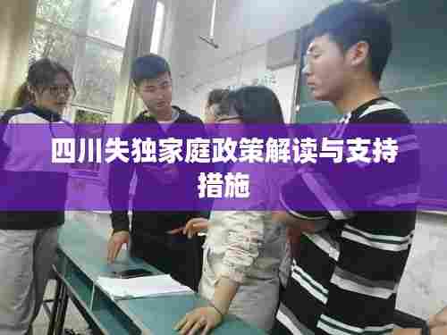四川失独家庭政策解读与支持措施