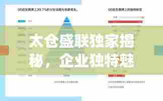 太仓盛联独家揭秘，企业独特魅力与发展路径的探究