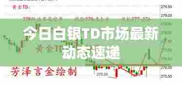 今日白银TD市场最新动态速递