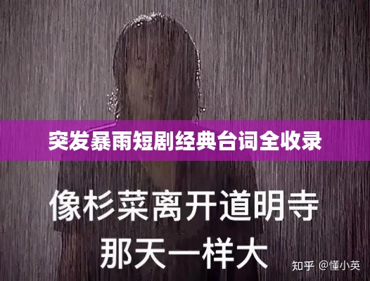 突发暴雨短剧经典台词全收录