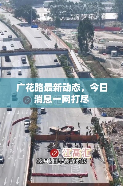 广花路最新动态，今日消息一网打尽