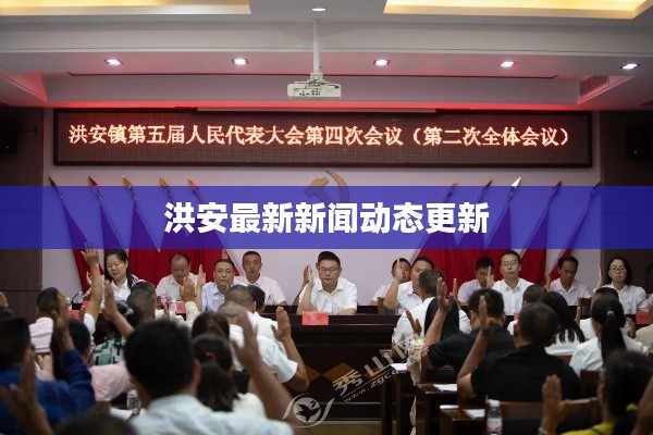 洪安最新新闻动态更新