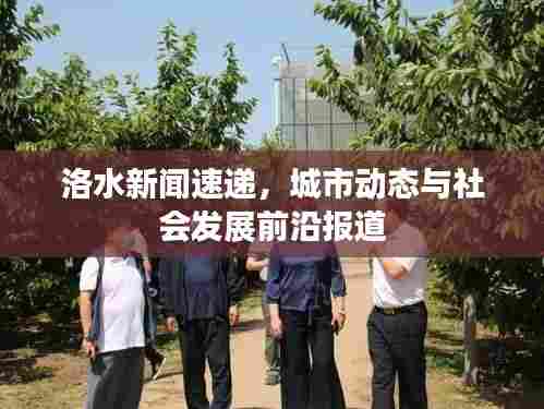 洛水新闻速递，城市动态与社会发展前沿报道