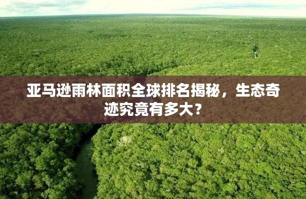 亚马逊雨林面积全球排名揭秘，生态奇迹究竟有多大？