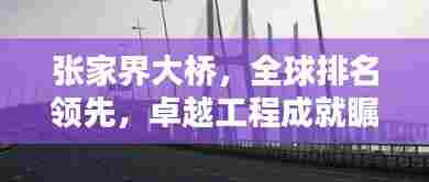 张家界大桥，全球排名领先，卓越工程成就瞩目
