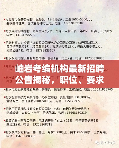 岫岩考编机构最新招聘公告揭秘，职位、要求全解析！