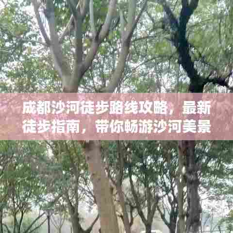 成都沙河徒步路线攻略，最新徒步指南，带你畅游沙河美景！