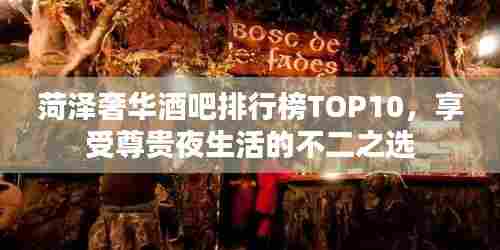 菏泽奢华酒吧排行榜TOP10，享受尊贵夜生活的不二之选