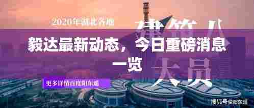 毅达最新动态，今日重磅消息一览