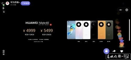 mate40选哪个版本,实证研究解析说明&amp;创意版_v10.205