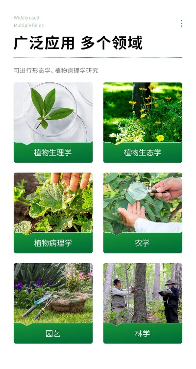 宵衣旰食 第5页