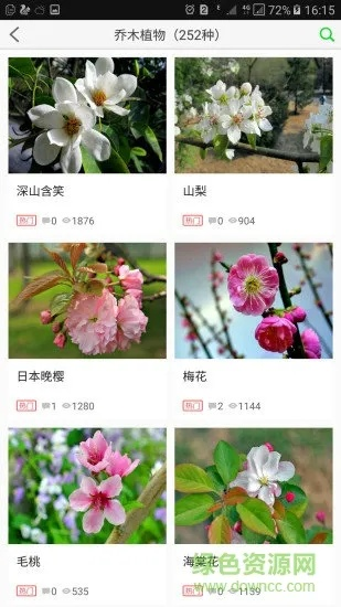 植物大全官方下载，全面数据解析执行FT_v4.928——免费软件的力量与魅力