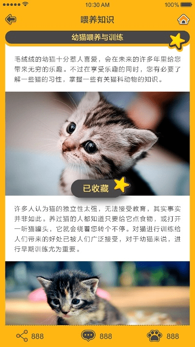 猫咪在线官方下载,权威解读说明&amp;尊贵版_v9.472