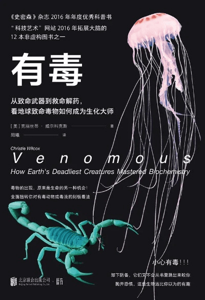 毒物版本，权威方法解析_创意版_v5.439，创意工作的新境界