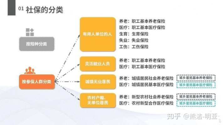 社保版本,定性说明解析|轻量版_v7.978