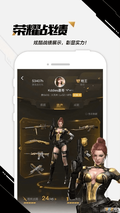 系统工具软件穿越火线助手官方下载，全面解析计划方案_V版_v8.412介绍