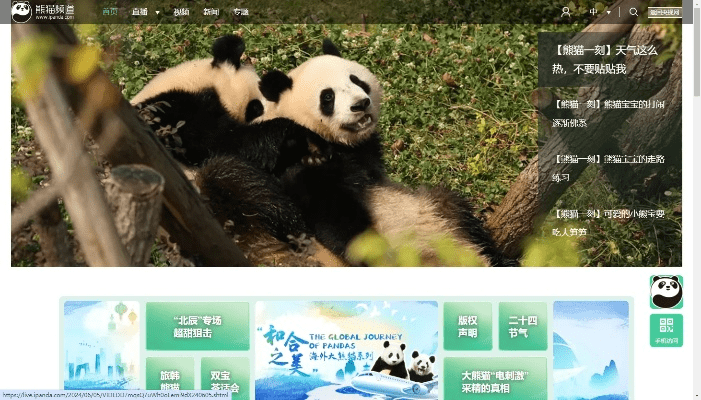 下载官方熊猫查询,理论研究解析说明-桌面版_v3.536