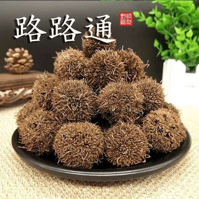 天生万物，唯人为贵 第5页